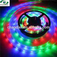 Newest Design Waterproof SMD6803 LED RGB Strips Remote Controll &Decorative LED String